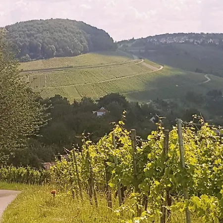 Szafranzimmervermmitung 아파트 *